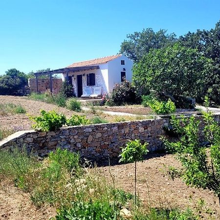 Potamos The Pigeon House别墅 外观 照片
