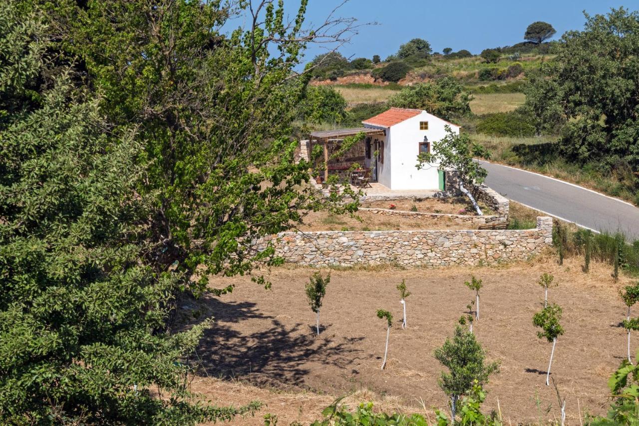 Potamos The Pigeon House别墅 外观 照片